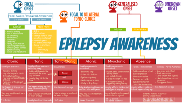 Your Hippo - eLearning and learning management system - Epilepsy Awareness eLearning course